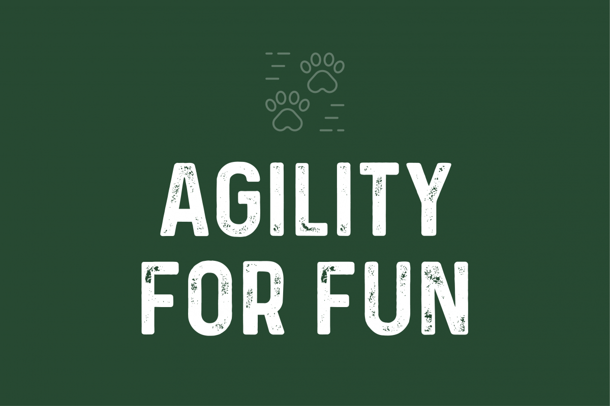 Agility For Fun All Dogs Allowed agility-for-fun-all-dogs-allowed