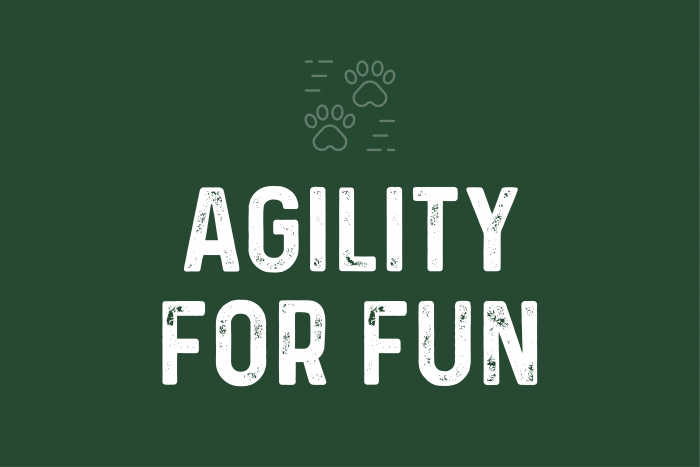 Agility For Fun - Fridays 6pm-7pm